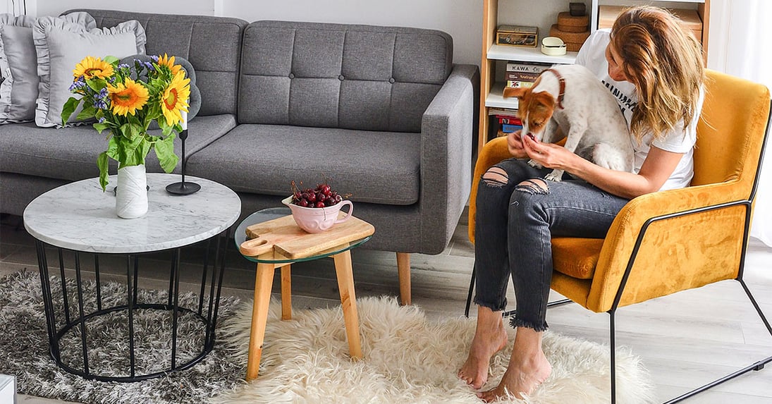 Robuste Sofas und Sessel für Tierbesitzer. Welches Möbelmodell und welcher Bezugsstoff sollen gewählt werden?