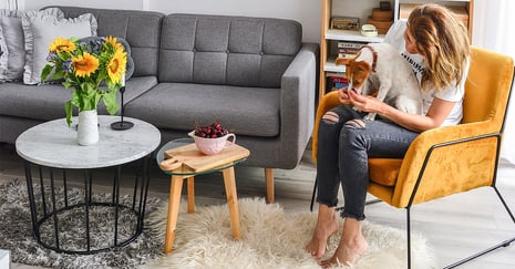 Robuste Sofas und Sessel für Tierbesitzer. Welches Möbelmodell und welcher Bezugsstoff sollen gewählt werden?