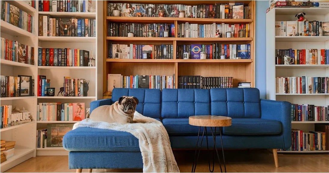 Das Sofa als Ausdruck des Stils: Die Wahl der richtigen Form und Farbe