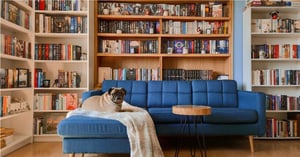 Das Sofa als Ausdruck des Stils: Die Wahl der richtigen Form und Farbe