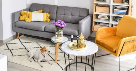 Sofas und Sessel auf Beinen – Vor- und Nachteile. Lohnt es sich, dieses Modell für Ihr Wohnzimmer zu wählen?