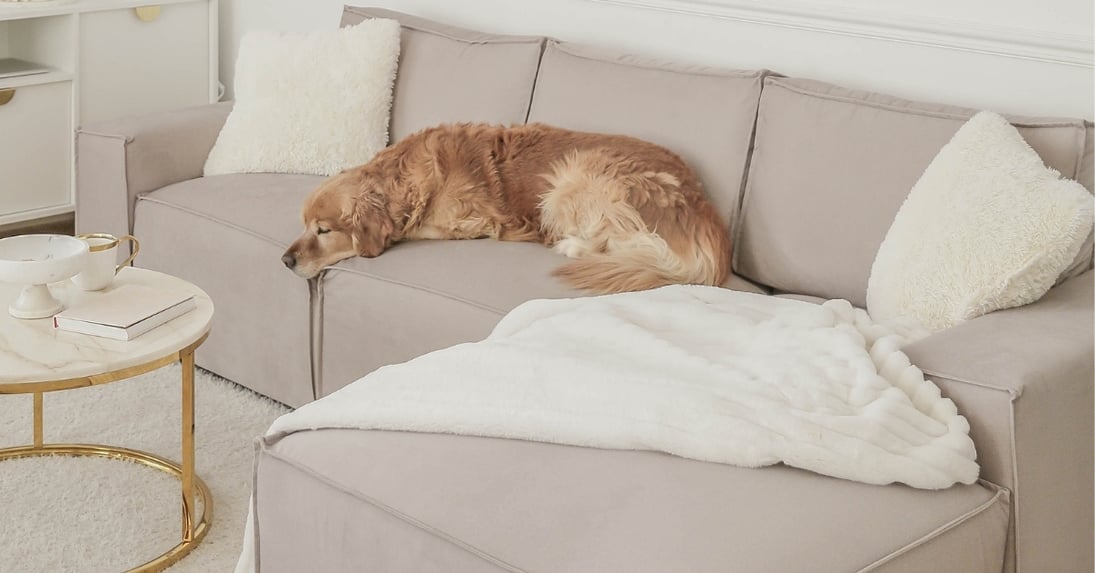 Wie hält man ein Sofa in gutem Zustand, wenn Kinder und Haustiere im Haus sind?