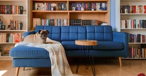 Das richtige Sofa für ein tierfreundliches Zuhause finden